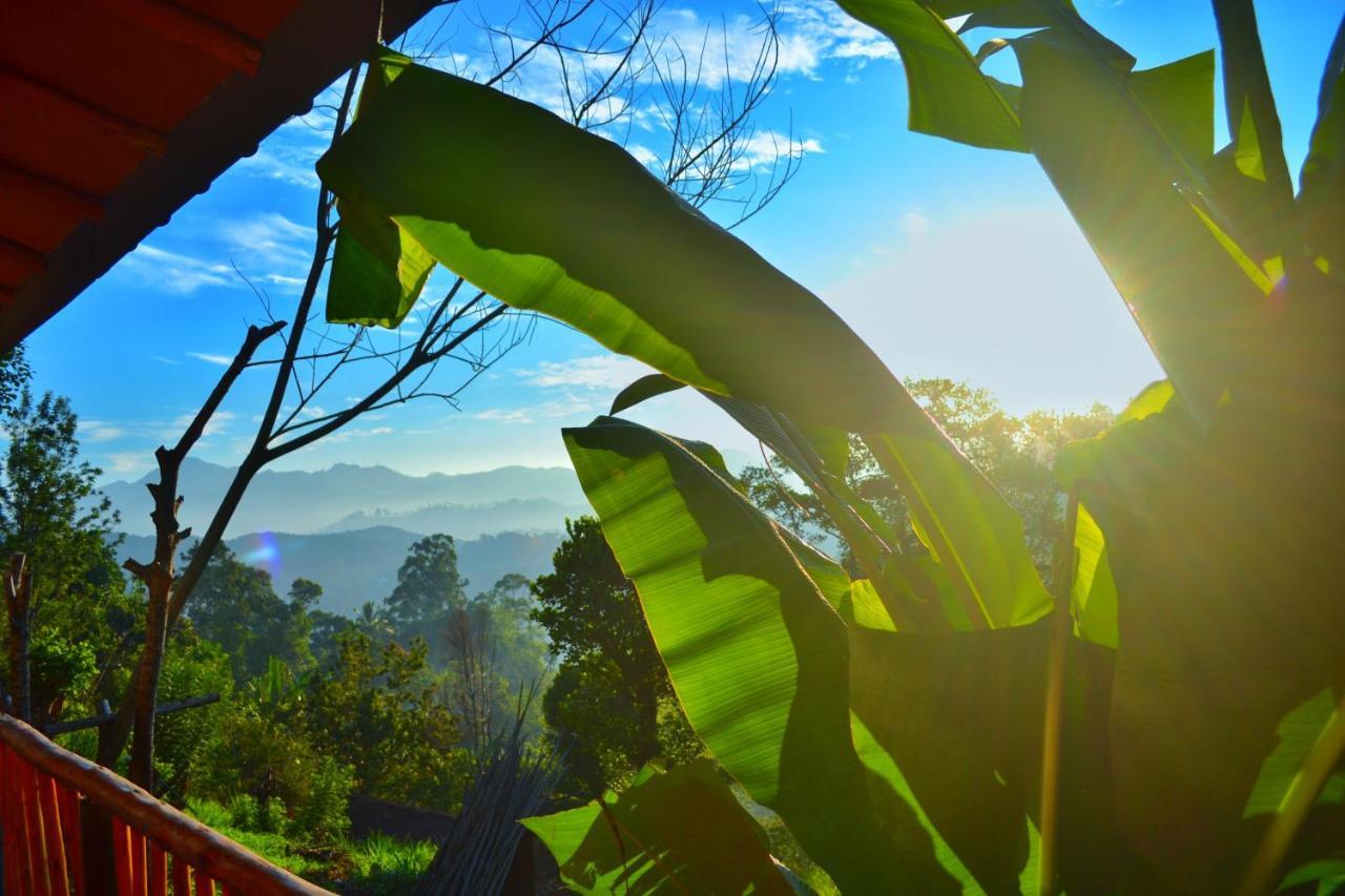 Rainbow Sky Cottage Ella Bagian luar foto